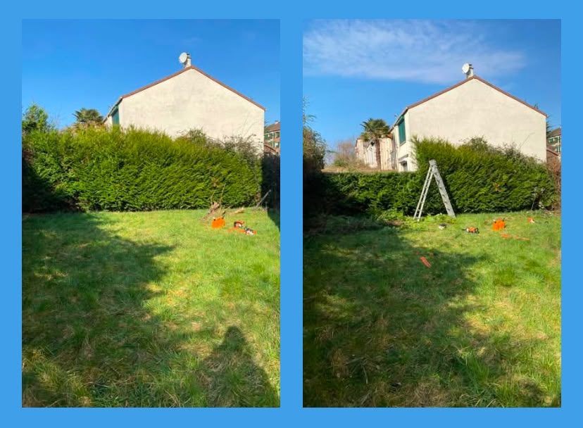 Réalisation Élagueur 5