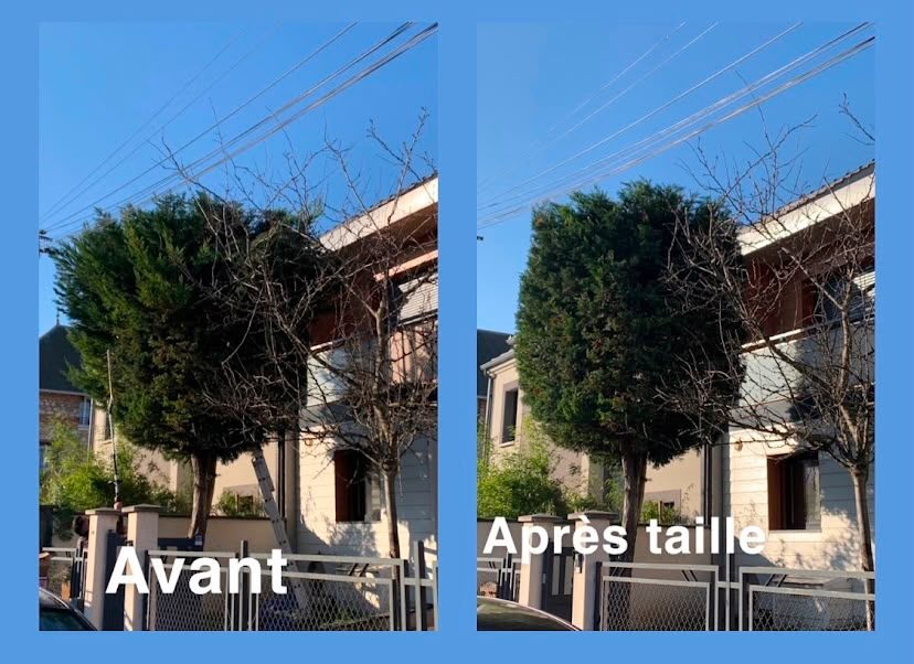 Réalisation Élagueur 9