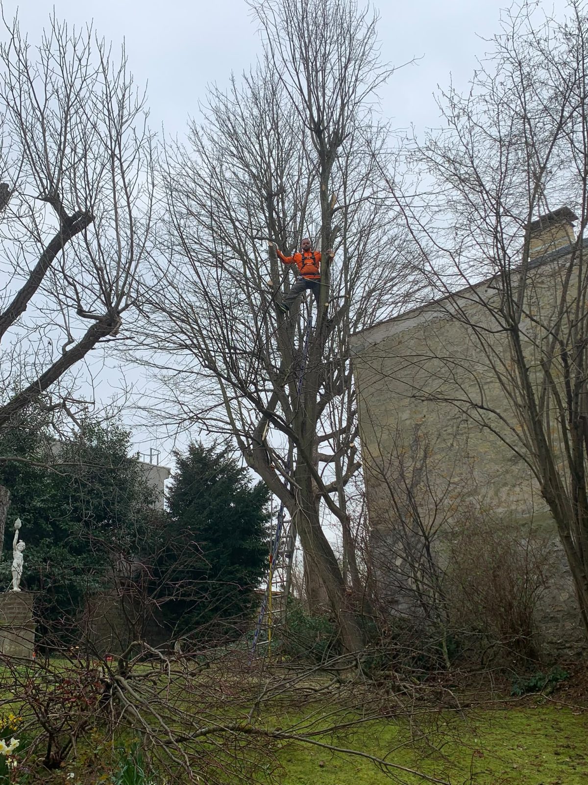 Réalisation Élagueur 8