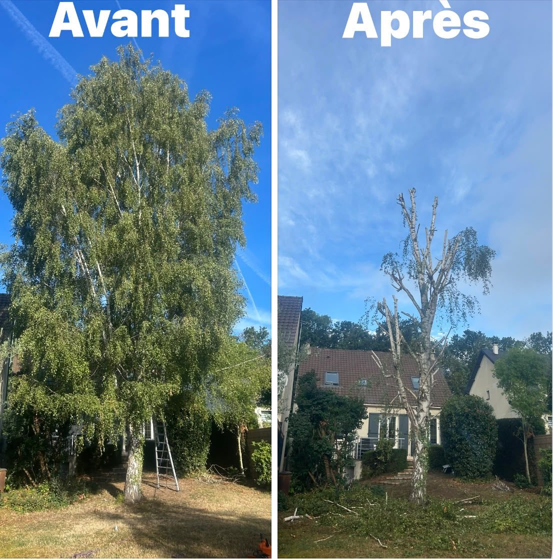 Réalisation Élagueur 14